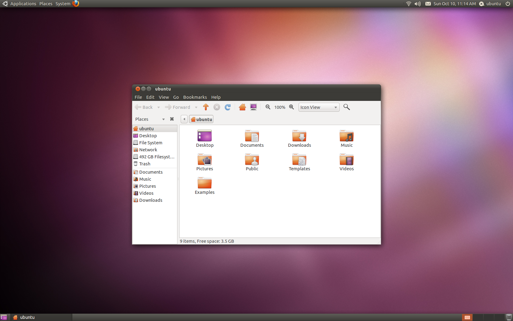 Ubuntu 10 desktop with the file manager open